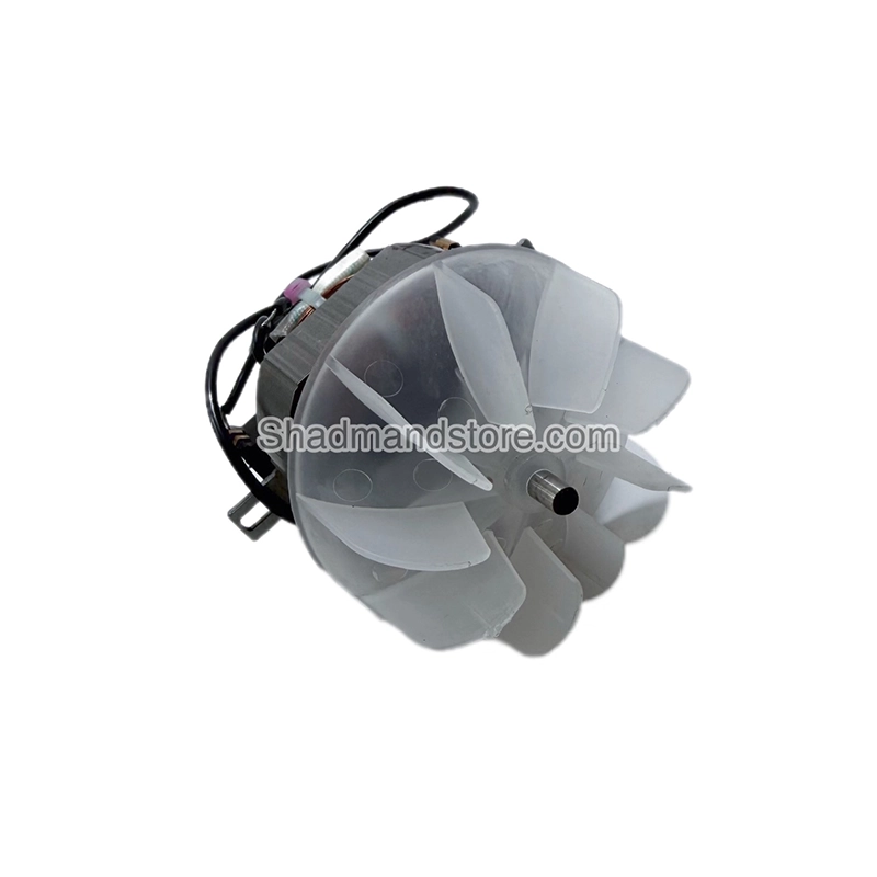 photo-output - 2026-03-14T220958.094